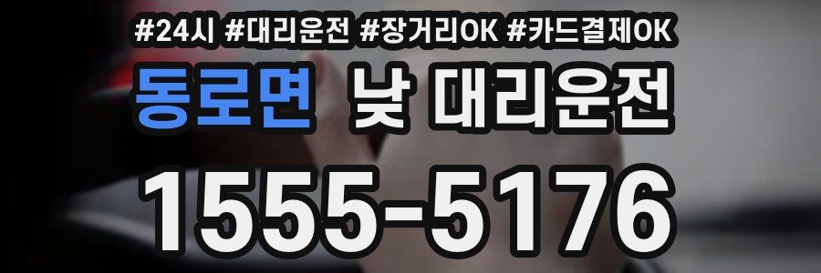 동로면 낮 대리운전