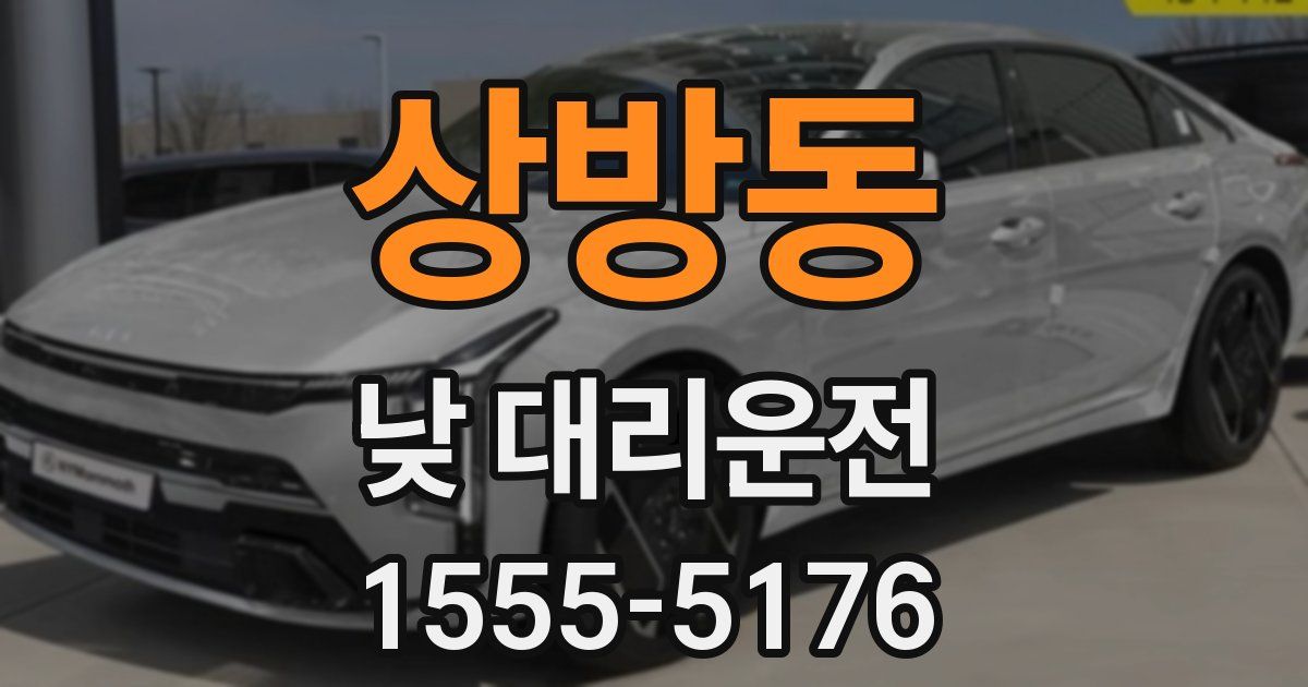 상방동 낮 대리운전