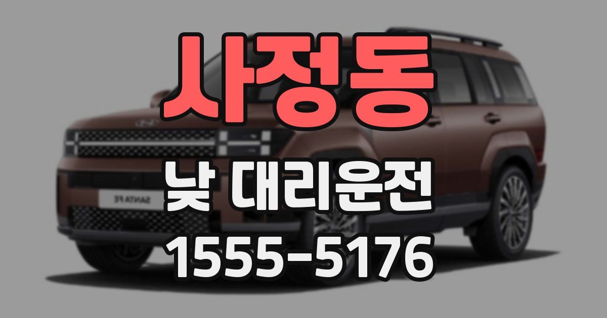 사정동 낮 대리운전