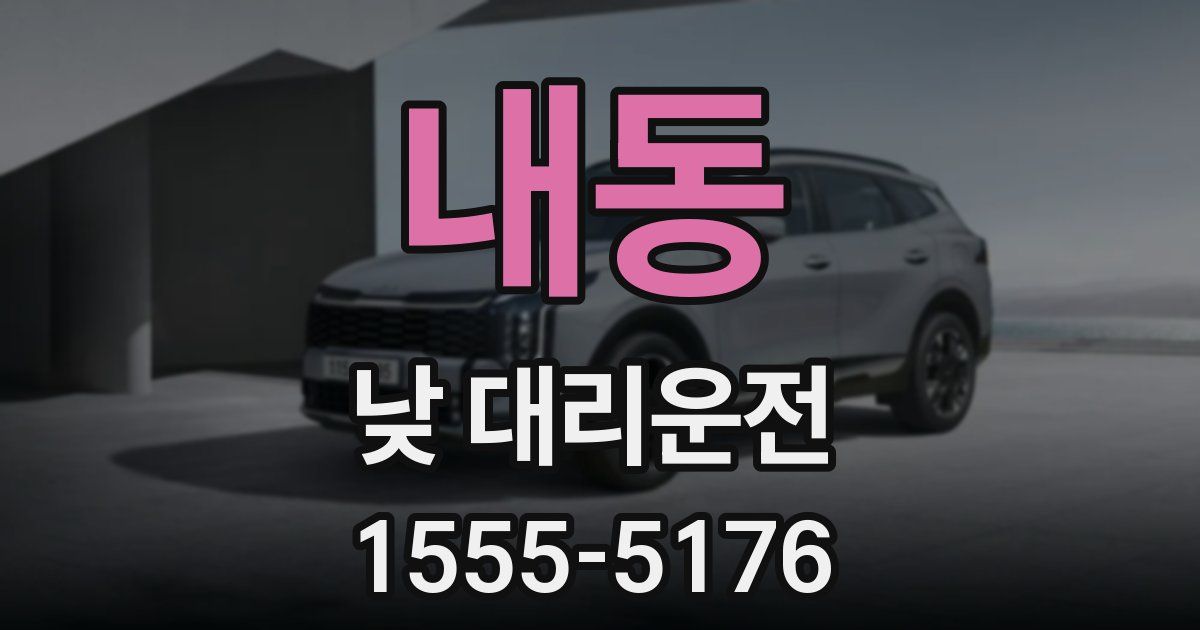 내동 낮 대리운전