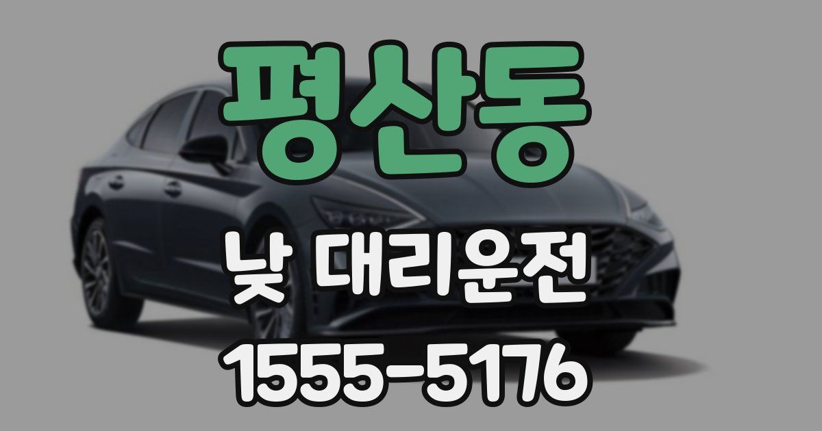평산동 낮 대리운전
