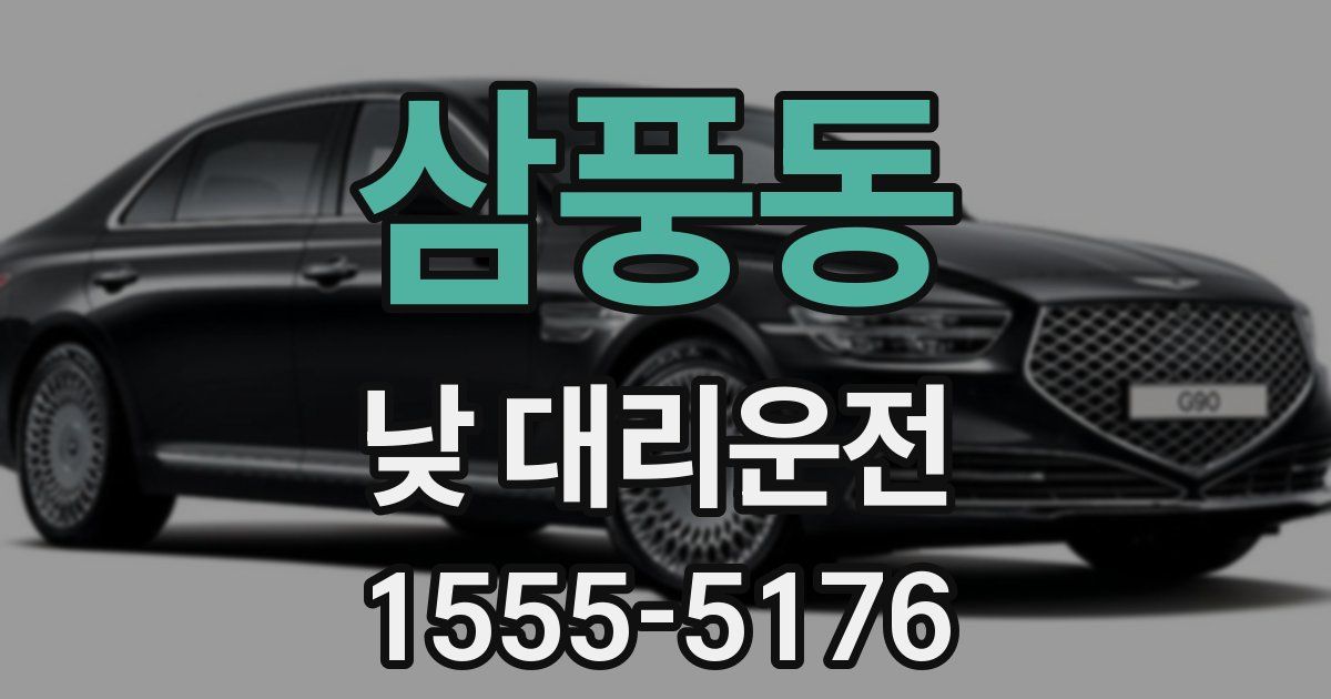 삼풍동 낮 대리운전