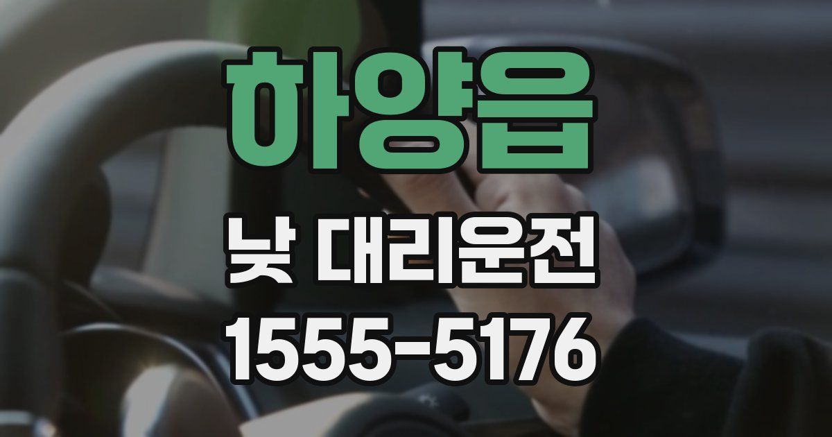 하양읍 낮 대리운전