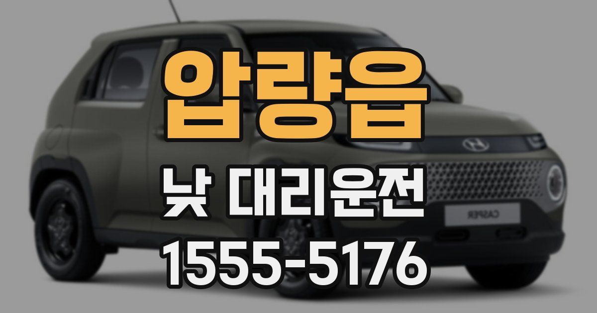 압량읍 낮 대리운전