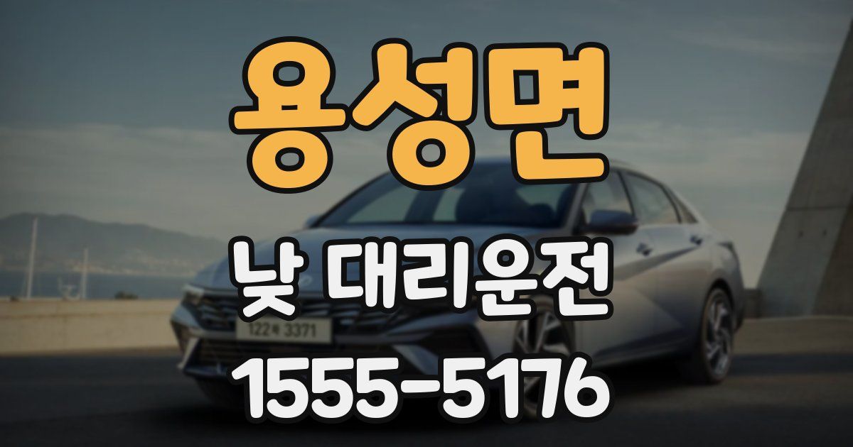 용성면 낮 대리운전