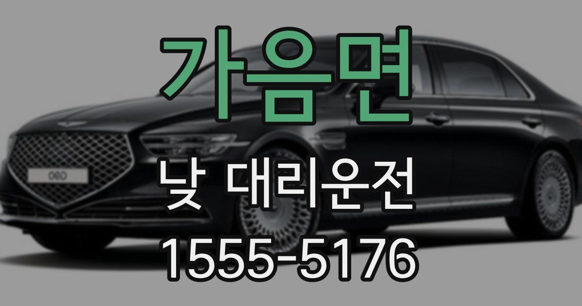 가음면 낮 대리운전