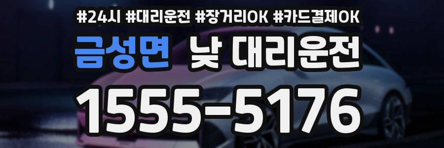 금성면 낮 대리운전