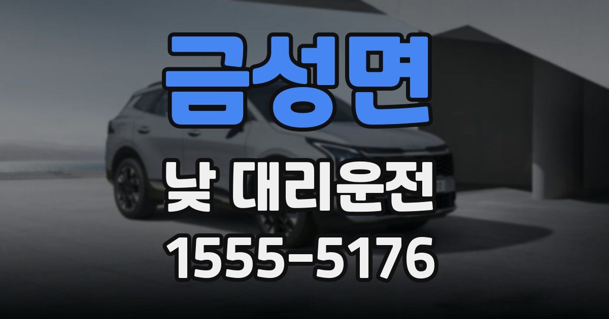 금성면 낮 대리운전