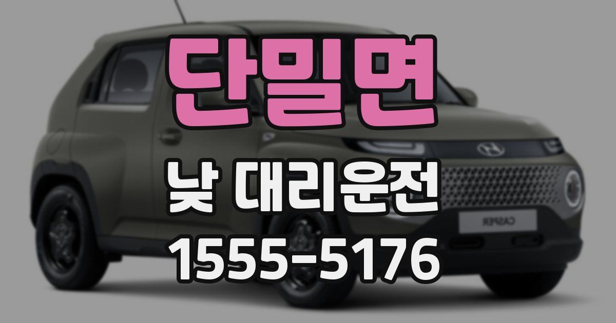 단밀면 낮 대리운전