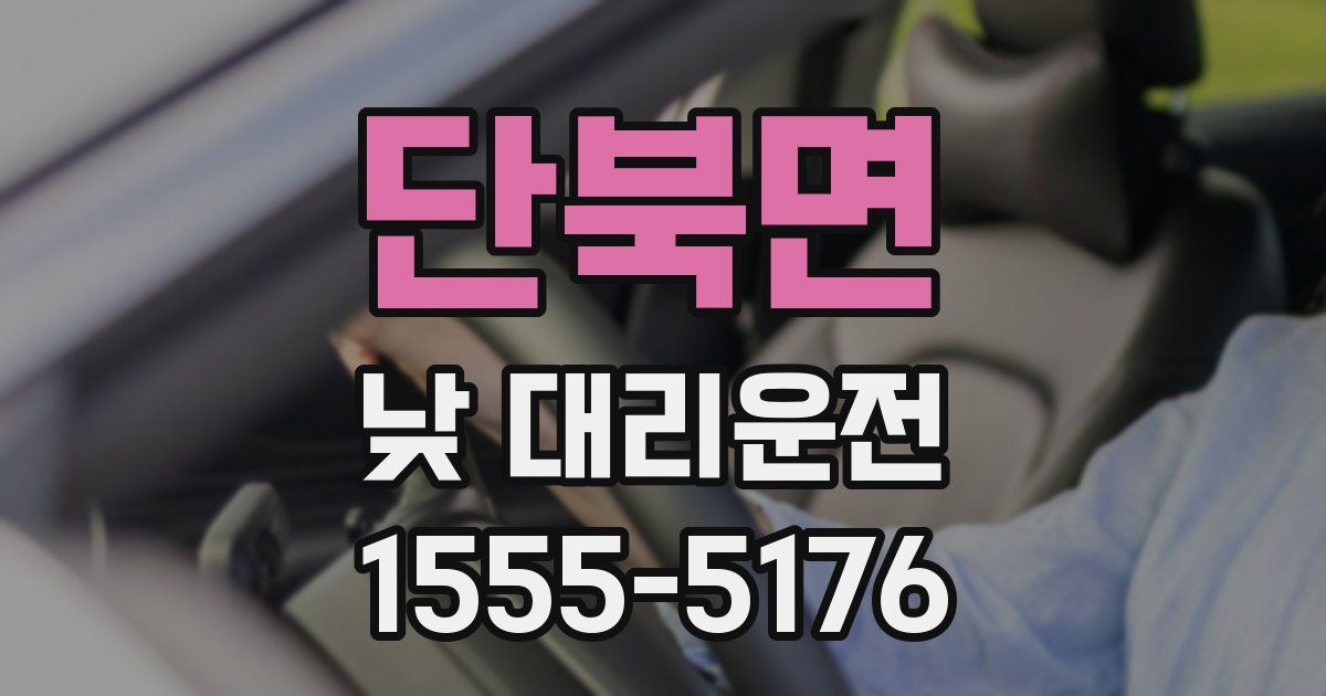 단북면 낮 대리운전