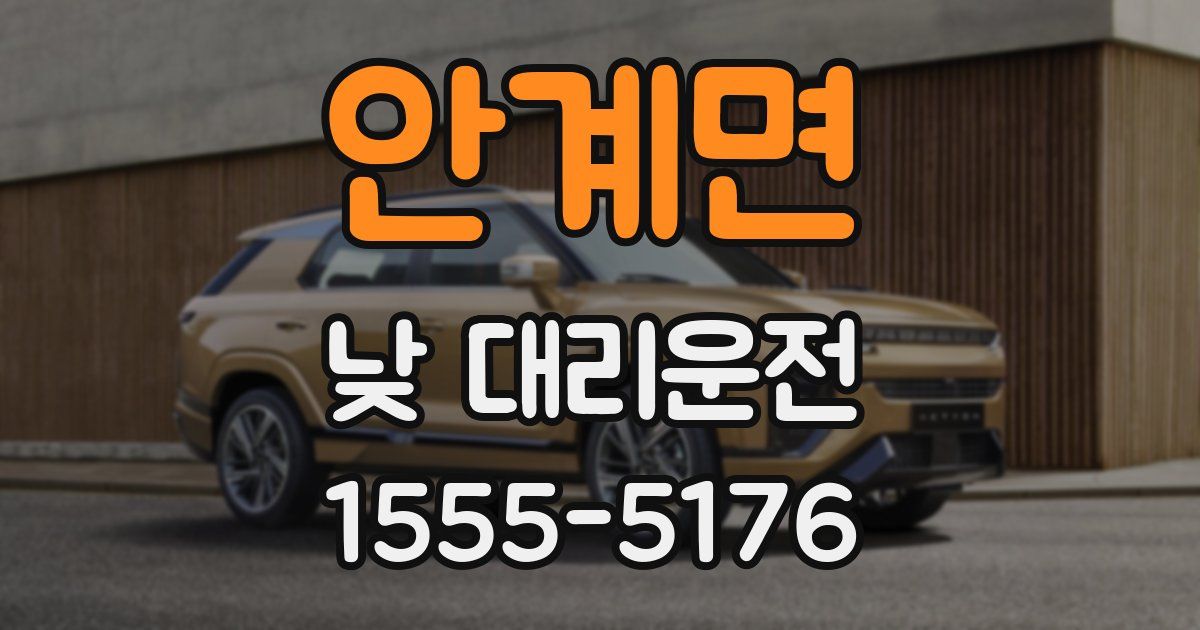 안계면 낮 대리운전