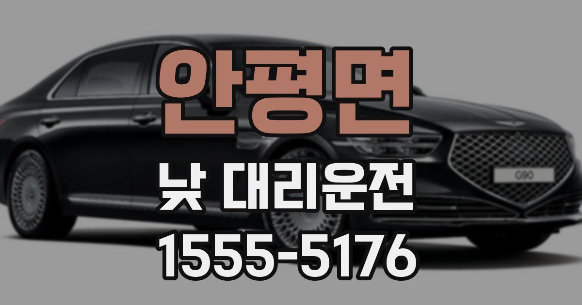 안평면 낮 대리운전