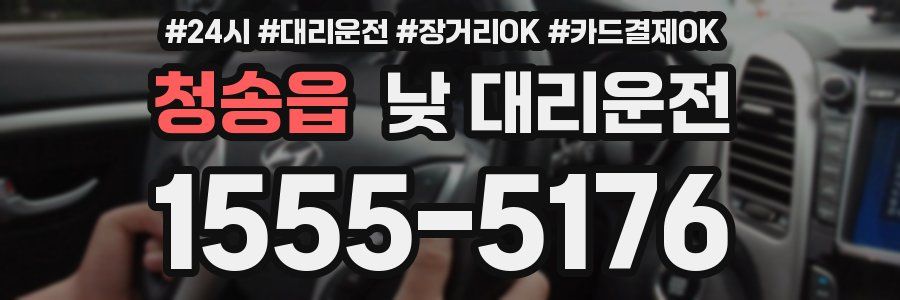 청송읍 낮 대리운전
