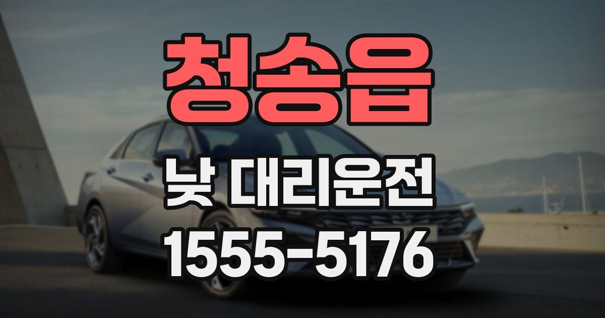 청송읍 낮 대리운전