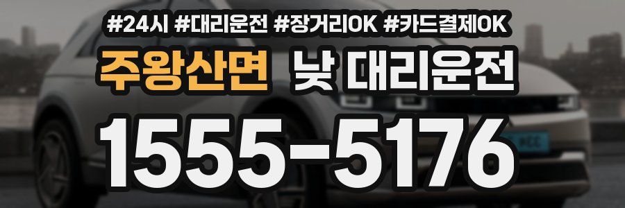 주왕산면 낮 대리운전