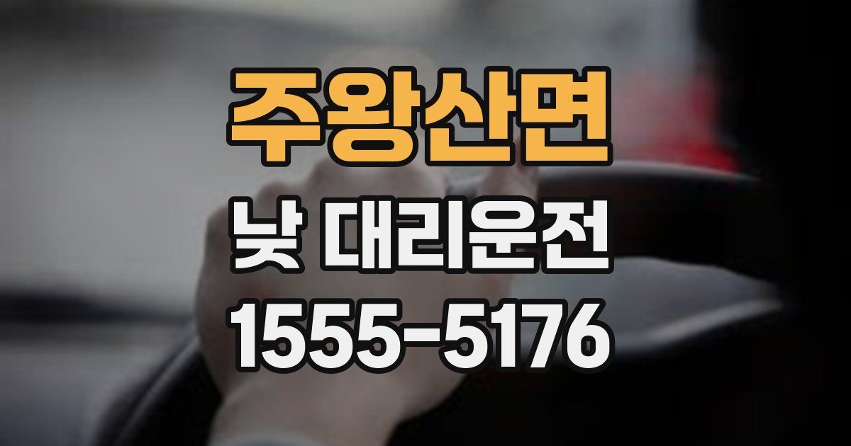 주왕산면 낮 대리운전