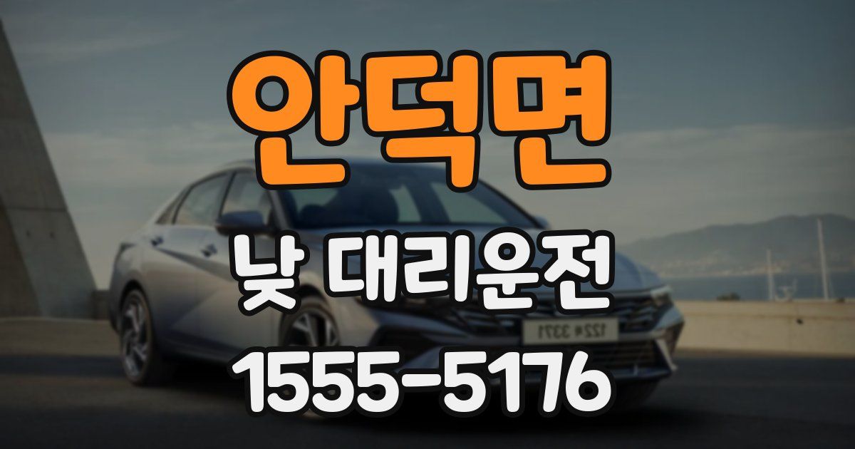 안덕면 낮 대리운전