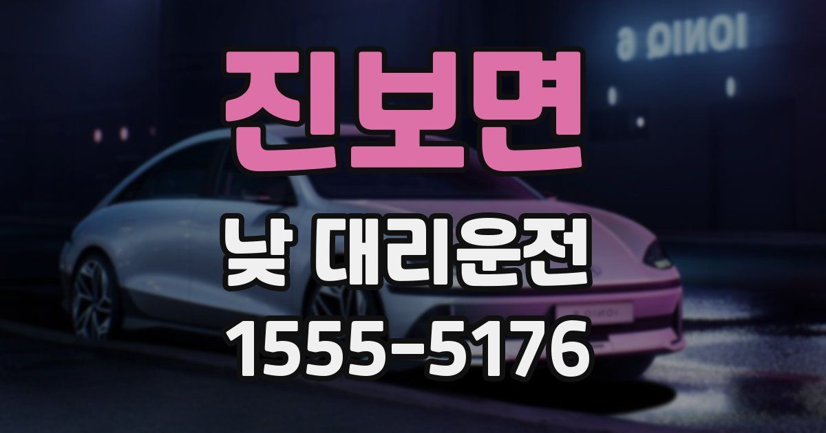 진보면 낮 대리운전