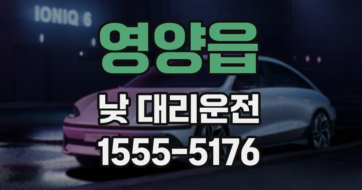 영양읍 낮 대리운전