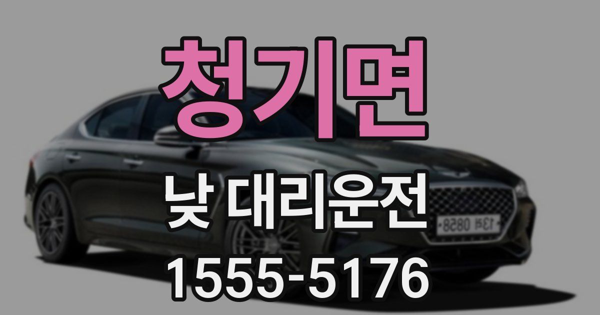 청기면 낮 대리운전