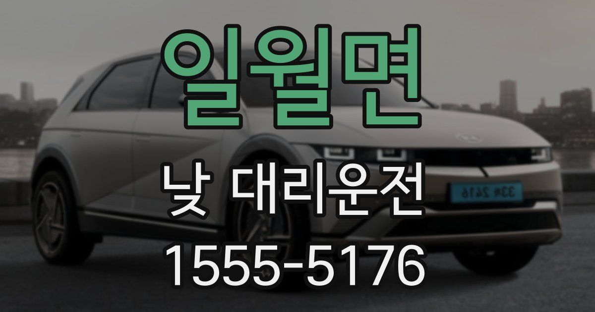 일월면 낮 대리운전