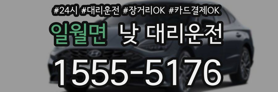 일월면 낮 대리운전