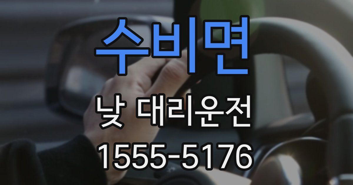 수비면 낮 대리운전