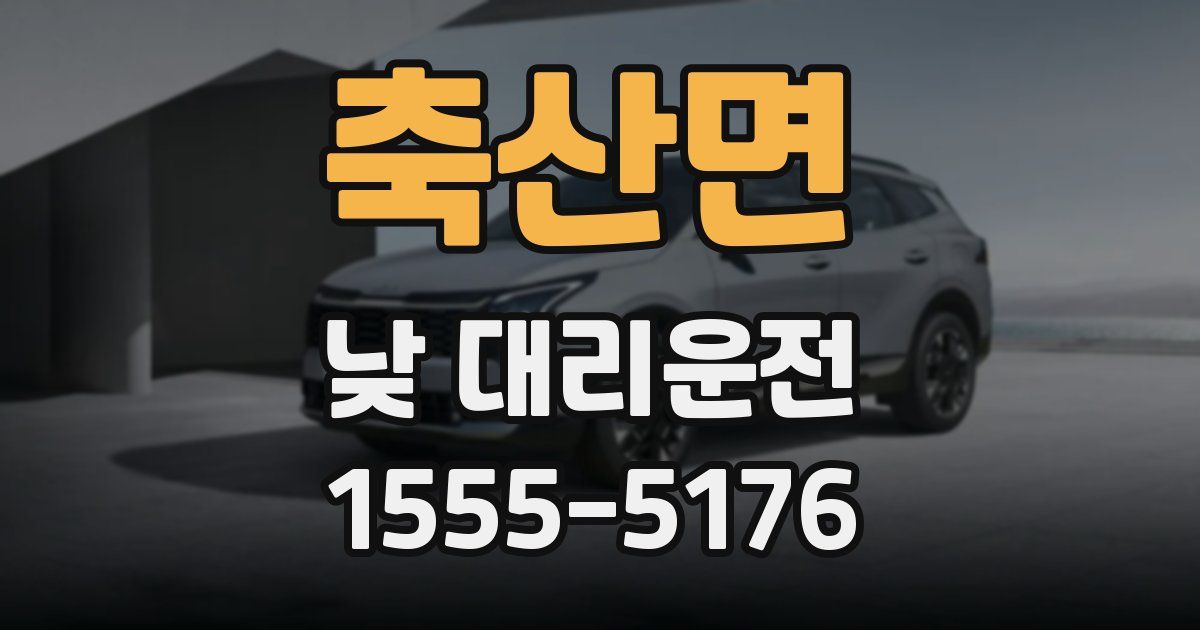 축산면 낮 대리운전
