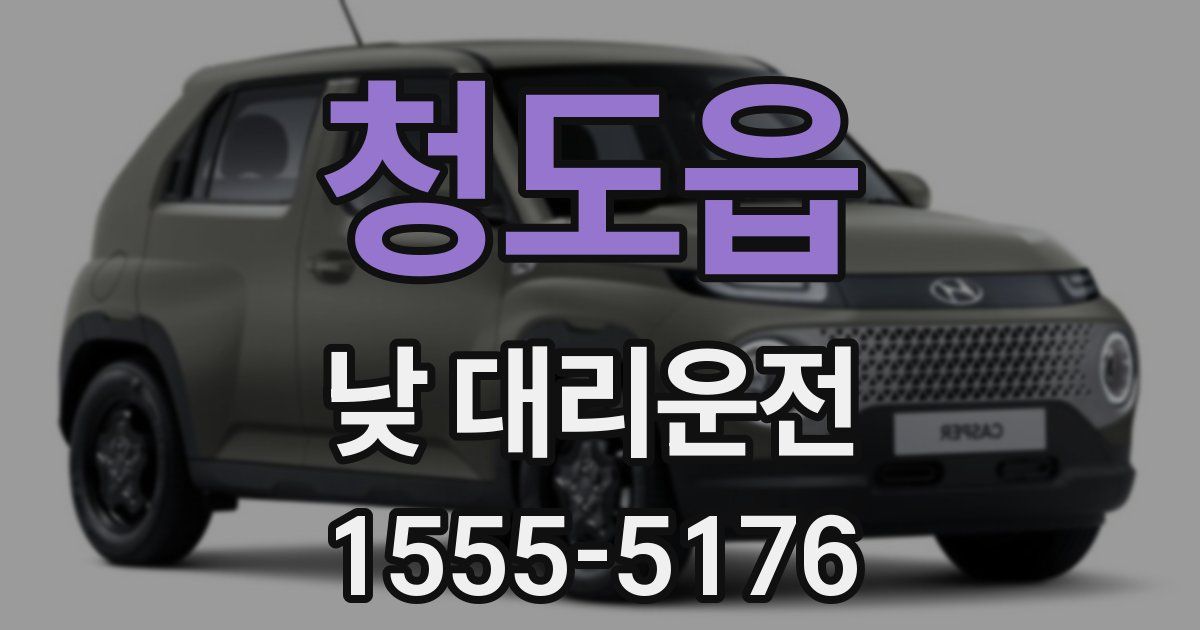 청도읍 낮 대리운전