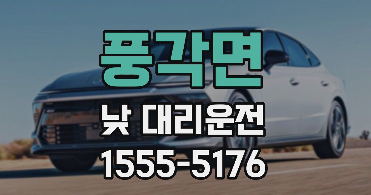 풍각면 낮 대리운전