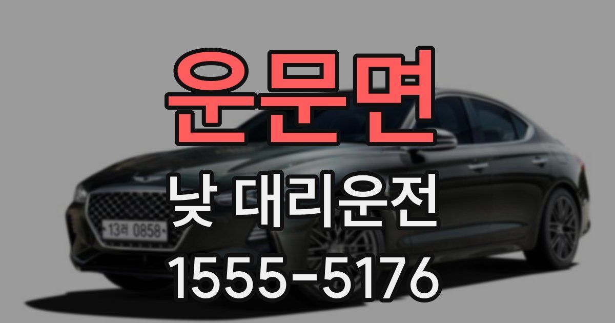 운문면 낮 대리운전