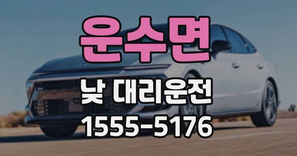 운수면 낮 대리운전