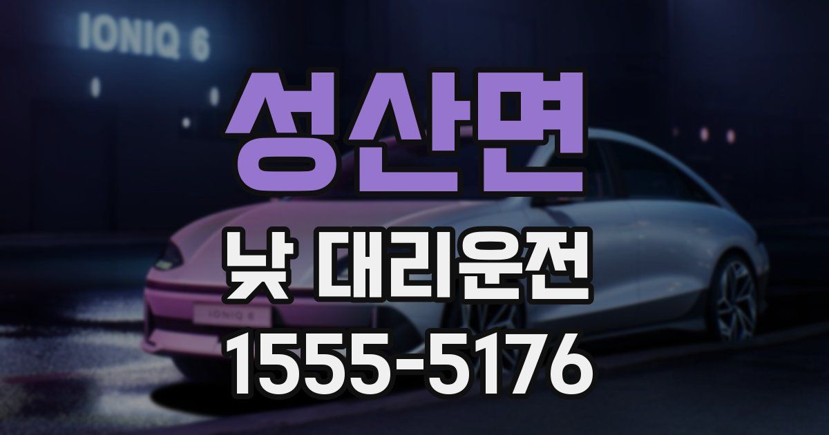 성산면 낮 대리운전