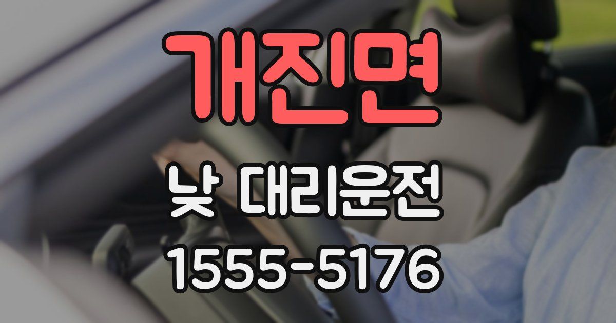 개진면 낮 대리운전