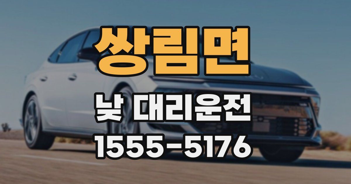 쌍림면 낮 대리운전