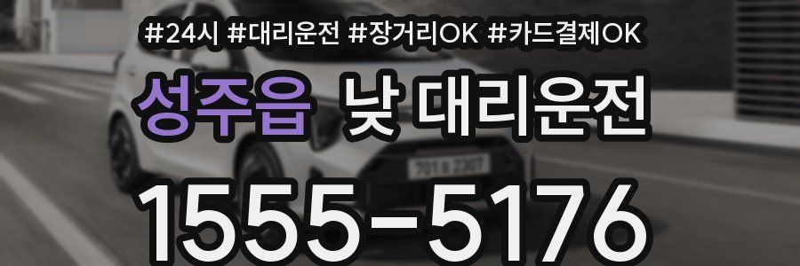 성주읍 낮 대리운전
