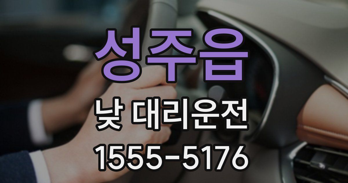 성주읍 낮 대리운전