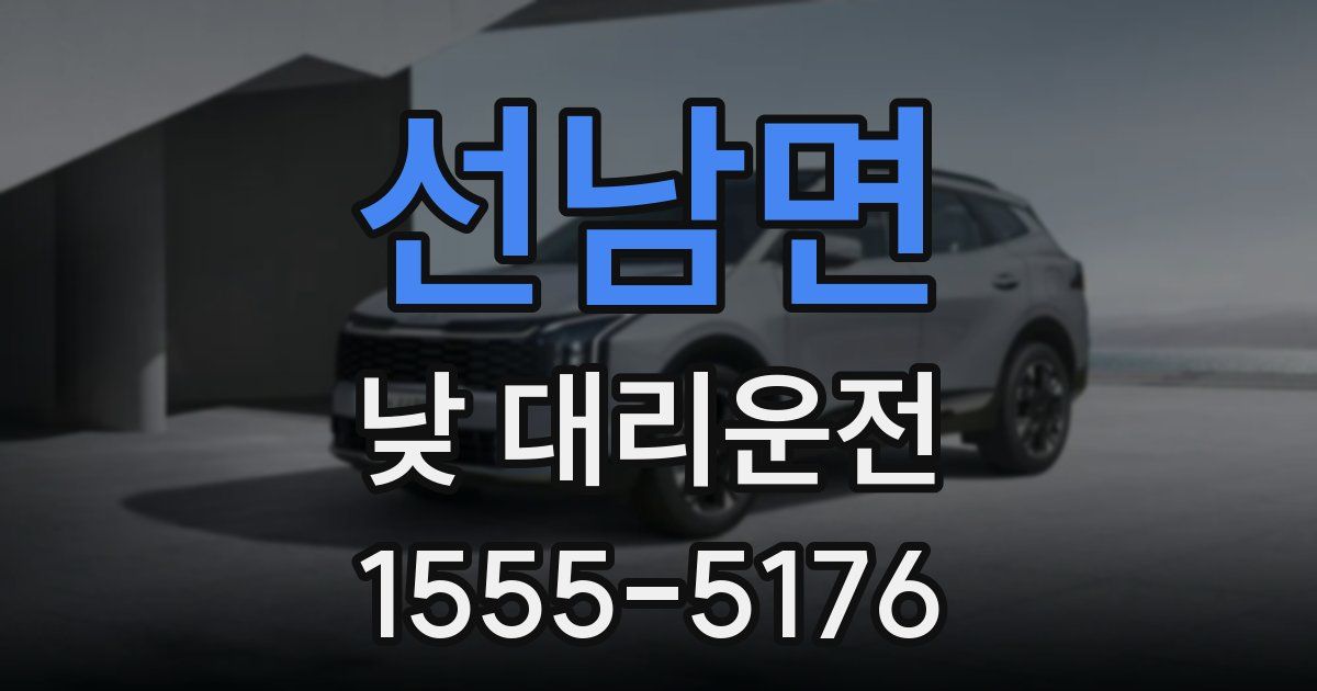 선남면 낮 대리운전