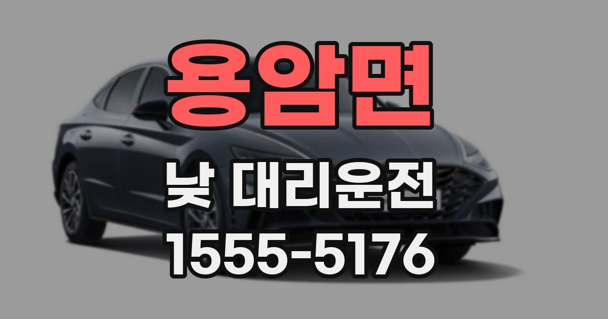 용암면 낮 대리운전