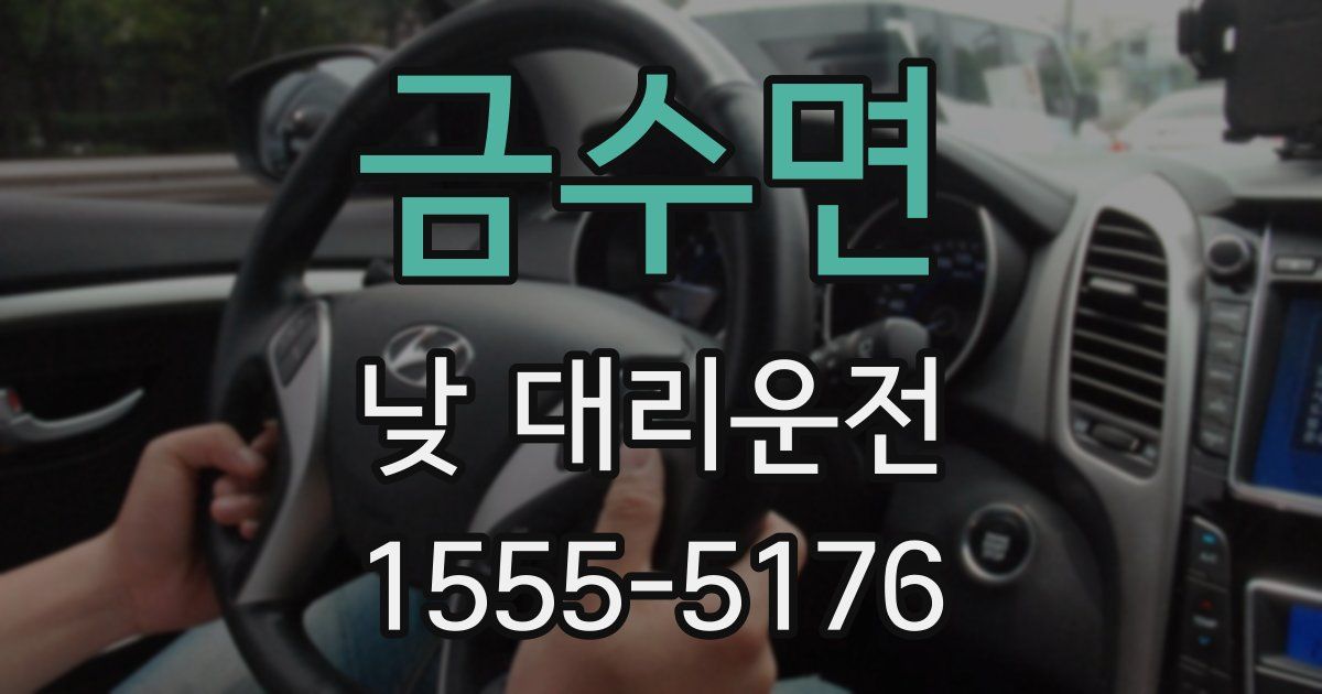 금수면 낮 대리운전