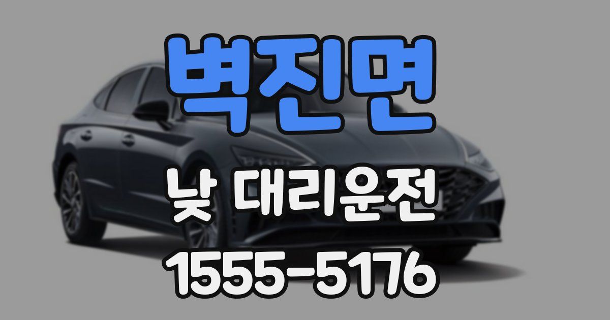 벽진면 낮 대리운전