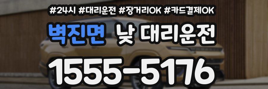 벽진면 낮 대리운전