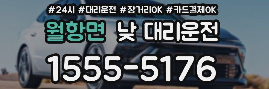 월항면 낮 대리운전