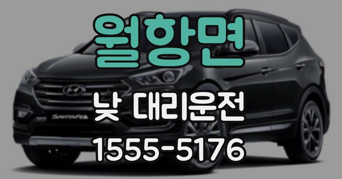 월항면 낮 대리운전