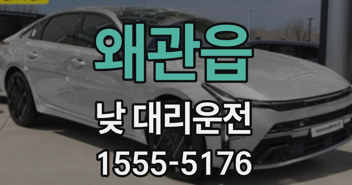 왜관읍 낮 대리운전