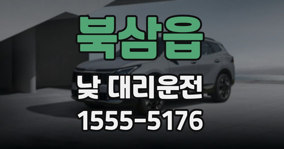 북삼읍 낮 대리운전