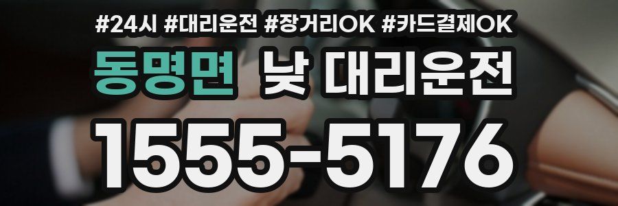 동명면 낮 대리운전