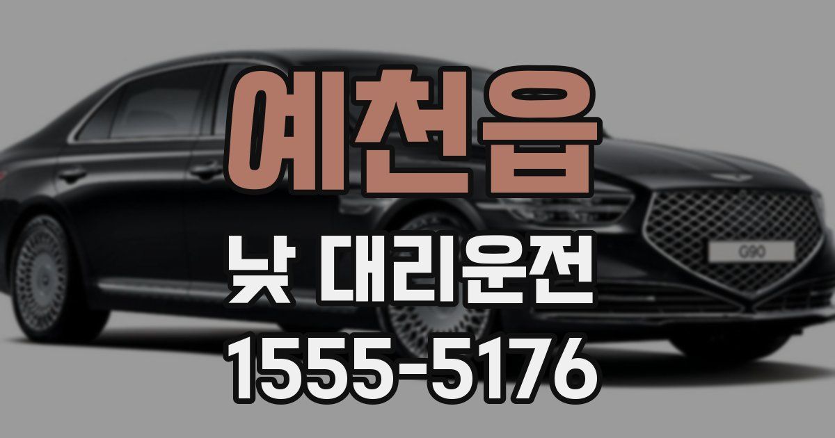 예천읍 낮 대리운전