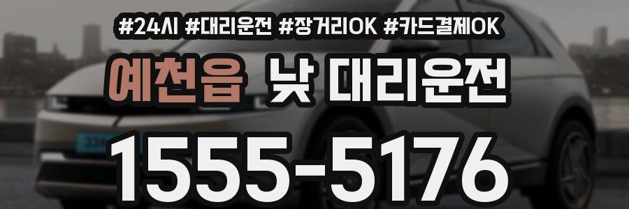 예천읍 낮 대리운전
