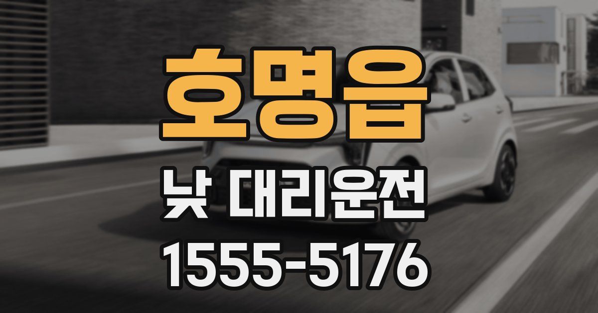 호명읍 낮 대리운전